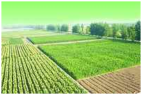 ��ҳ- �ط��������޹�˾�ٷ���վ