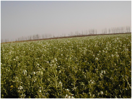 ��ҳ- �ط��������޹�˾�ٷ���վ