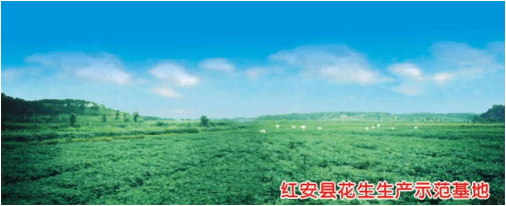 ��ҳ- �ط��������޹�˾�ٷ���վ