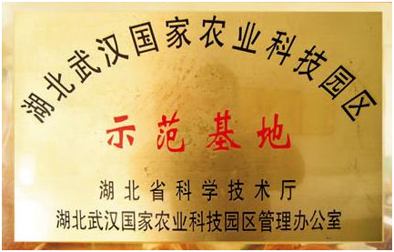 ��ҳ- �ط��������޹�˾�ٷ���վ