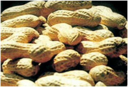 ��ҳ- �ط��������޹�˾�ٷ���վ