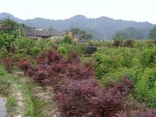 ��ҳ- �ط��������޹�˾�ٷ���վ