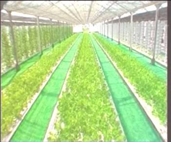 ��ҳ- �ط��������޹�˾�ٷ���վ