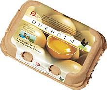 ��ҳ- �ط��������޹�˾�ٷ���վ