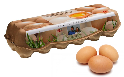 ��ҳ- �ط��������޹�˾�ٷ���վ