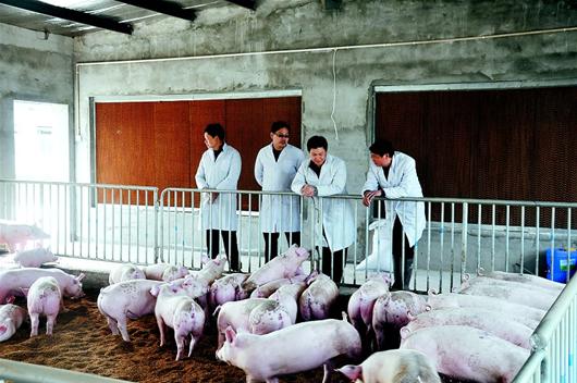 ��ҳ- �ط��������޹�˾�ٷ���վ