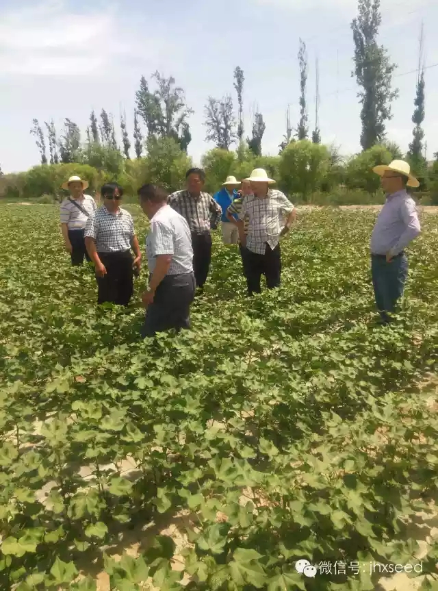 ��ҳ- �ط��������޹�˾�ٷ���վ