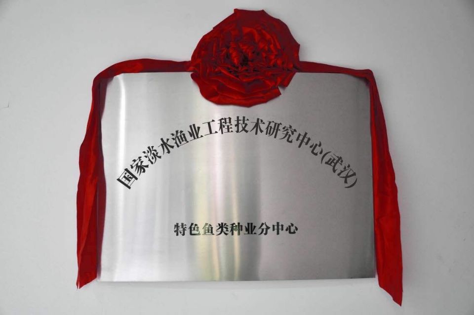 ��ҳ- �ط��������޹�˾�ٷ���վ